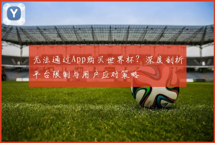 无法通过App购买世界杯?深度剖析平台限制与用户应对策略