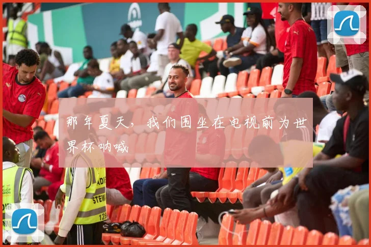 那年夏天，我们围坐在电视前为世界杯呐喊