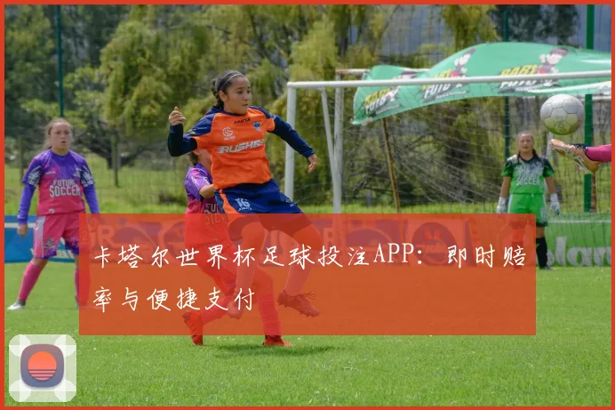 卡塔尔世界杯足球投注APP：即时赔率与便捷支付