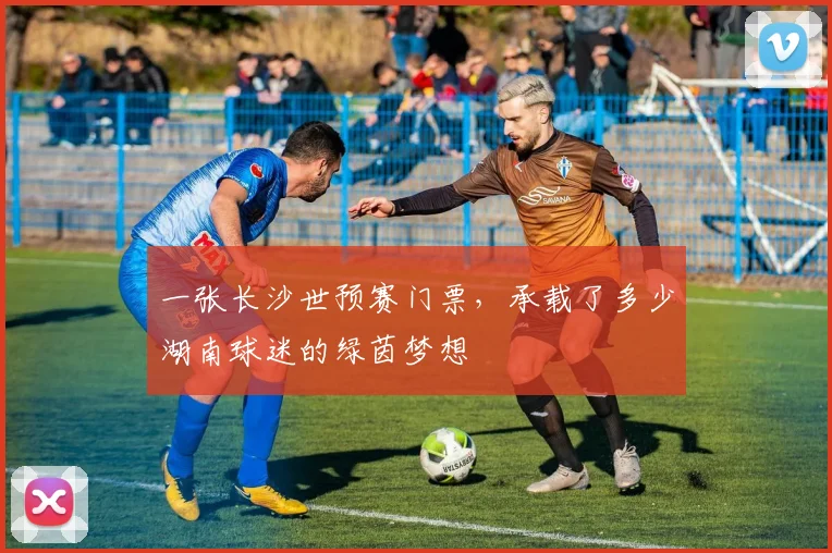 一张长沙世预赛门票，承载了多少湖南球迷的绿茵梦想
