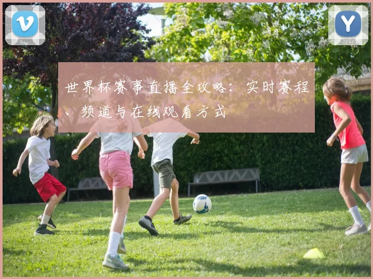 世界杯赛事直播全攻略：实时赛程、频道与在线观看方式