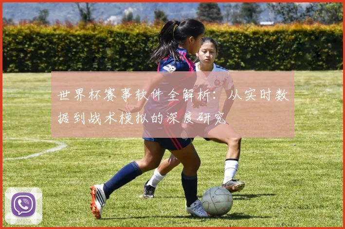 世界杯赛事软件全解析：从实时数据到战术模拟的深度研究