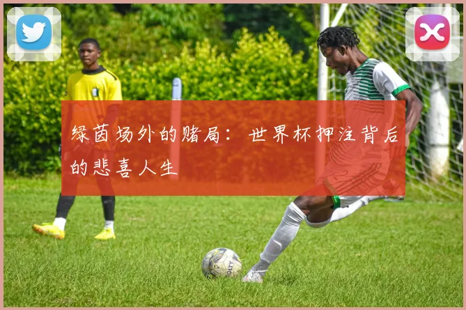 绿茵场外的赌局：世界杯押注背后的悲喜人生