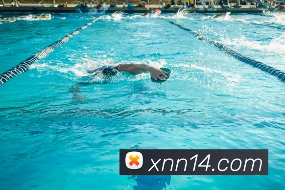 kaiyun云网页版入口APP 封面图