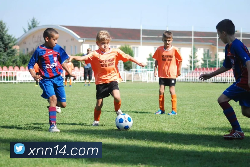 数据防护可视化